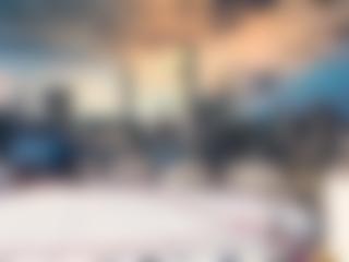 蚌埠安瑞科壓縮機進排氣閥