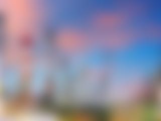 不銹鋼過濾器 壓縮空氣油水分離器 空壓機氣體精密過濾器